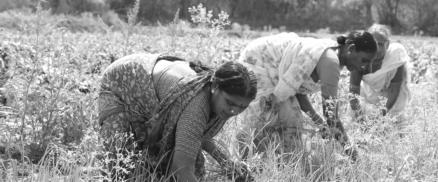 farmers from Dalit community